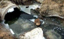  cod能反映水質污染情況嗎？