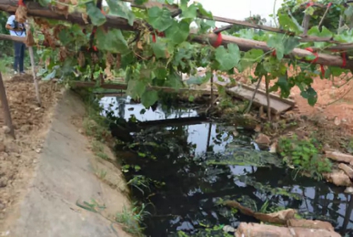 長沙市后湖：徹底消除黑臭，實現&ldquo;長治久清&rdquo;